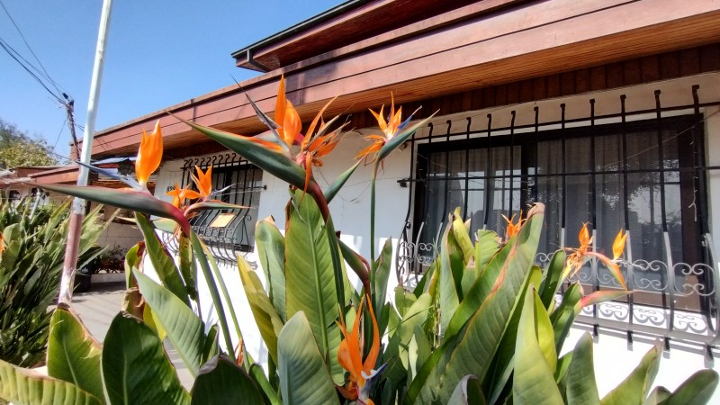 Casa 2 Pisos 6 D, 3 B, 6 E, Amplio Patio, Sector Residencial