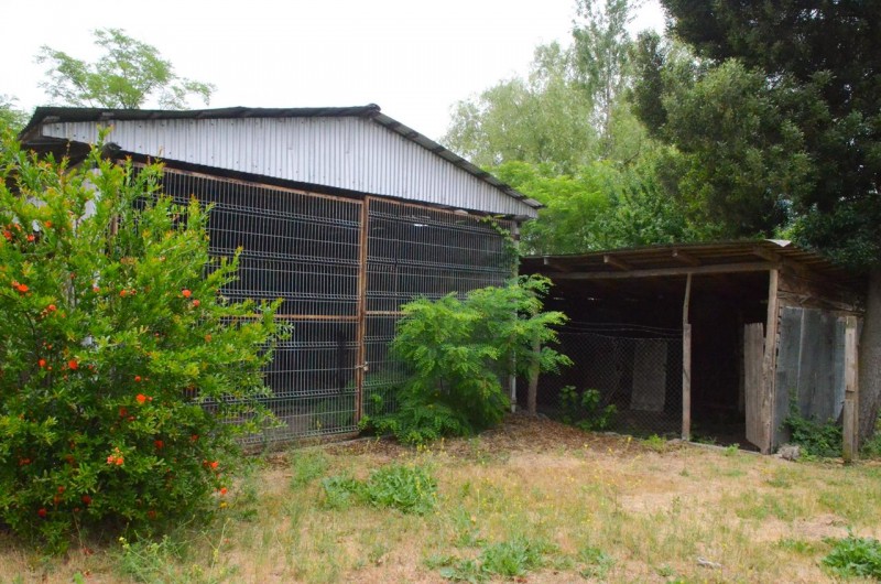 Parcela/casa en Venta Sector Teniente Cruz Teno
