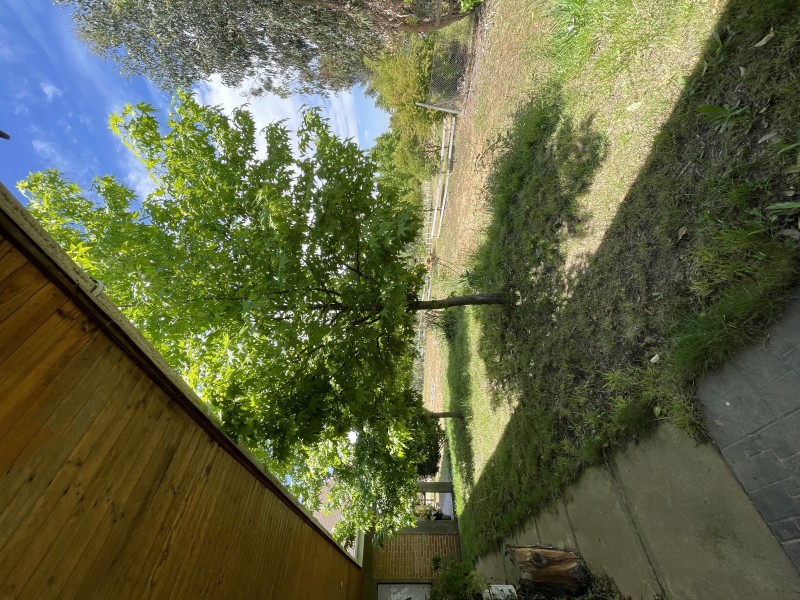 Arriendo Casa de Campo en Parcela Quilvo Alto 4D4B