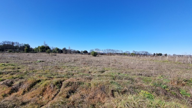 Parcela en Venta Camino A Pinto Chillan