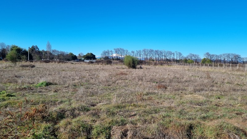 Parcela en Venta Camino A Pinto Chillan