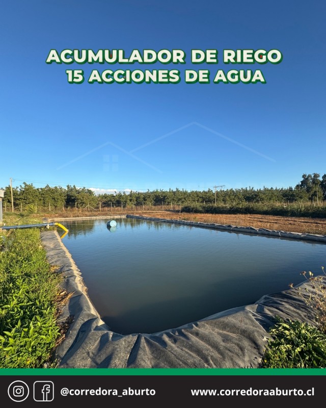 Huerto Frutal Avellano