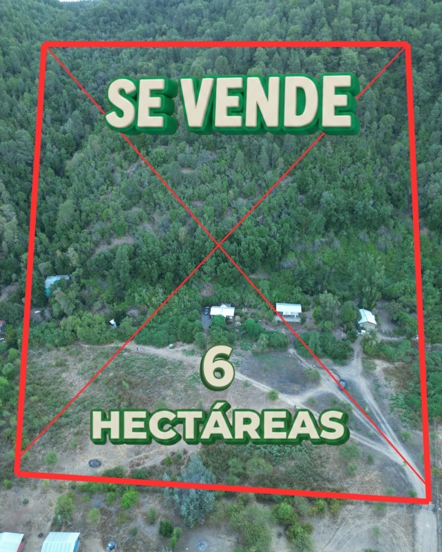 Complejo Turístico Pejerrey 6 Hectárias