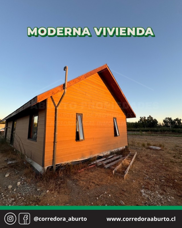 Huerto Frutal Avellano