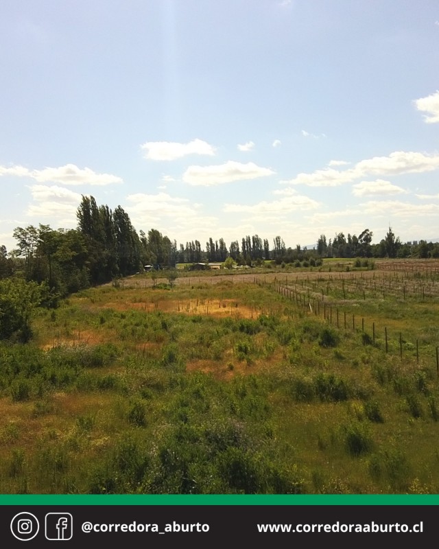 Parcela San Luis