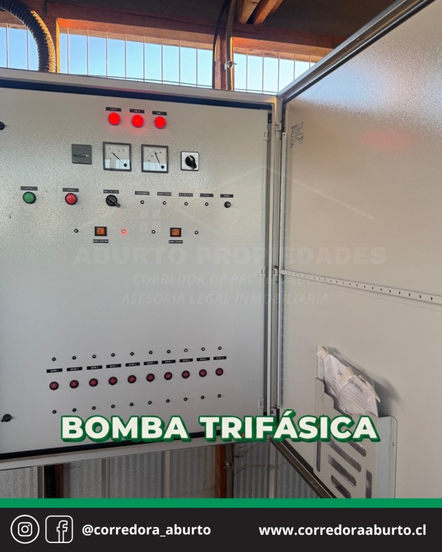 Huerto Frutal Avellano