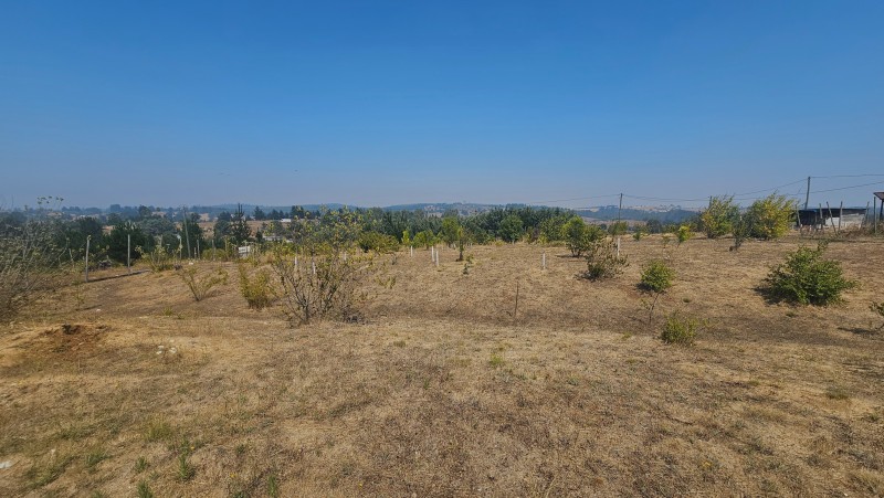 Vende Parcela Con Casa en Sector Florida Región del Bio Bio.