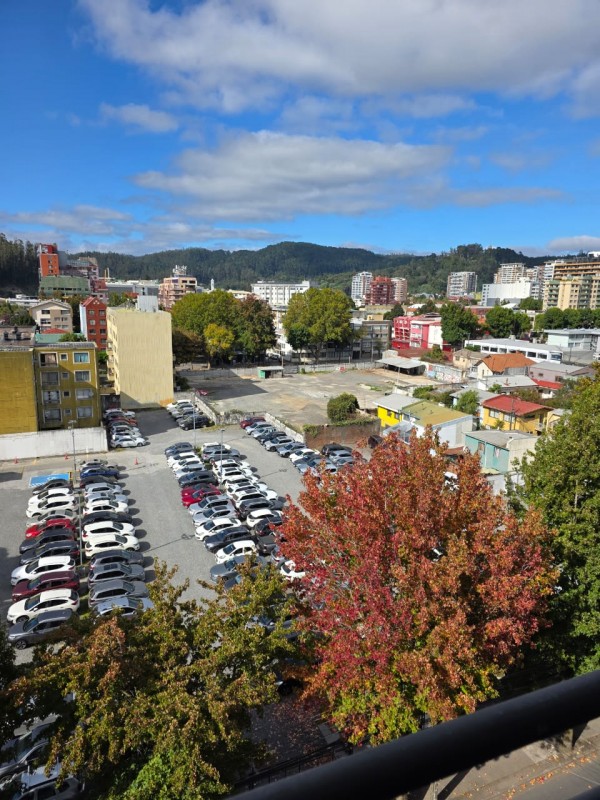 Arrienda Departamento Galvarino/freire en Concepción