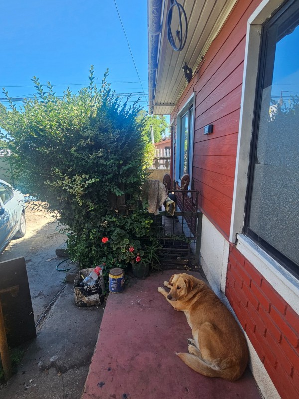 Vende Propiedad Uso Habitacional/comercial en Coronel