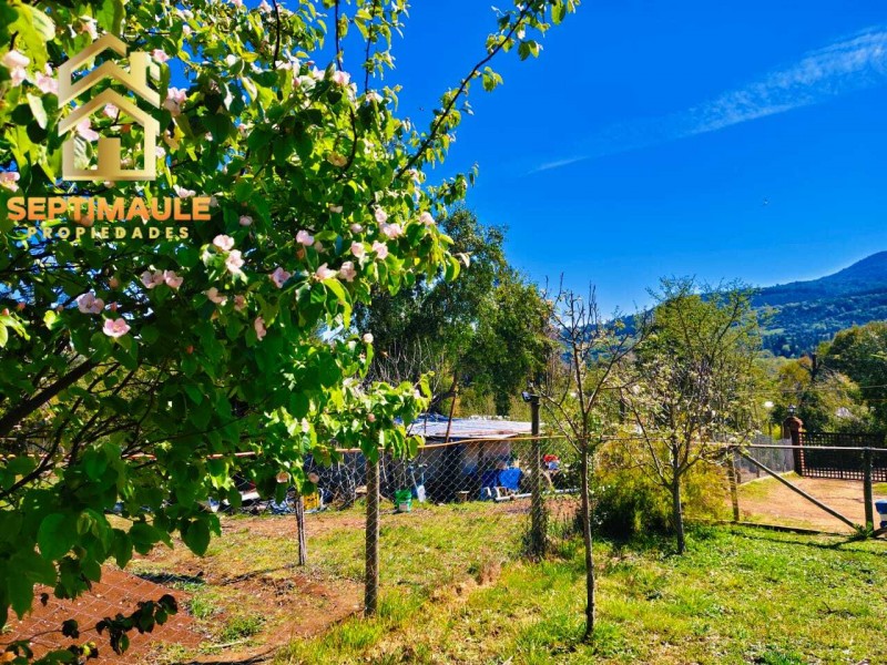 🌿hermosa Parcela Sector Rabones Comuna de Colbun🌿