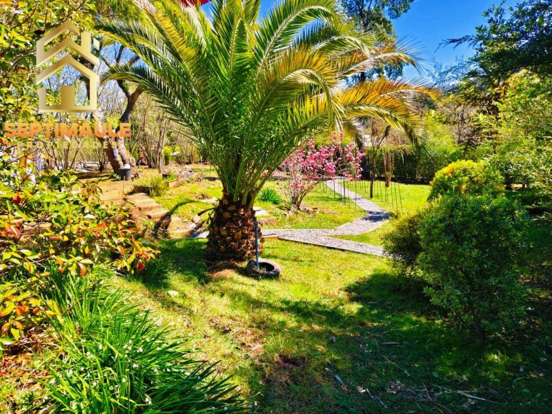 🌿hermosa Parcela Sector Rabones Comuna de Colbun🌿