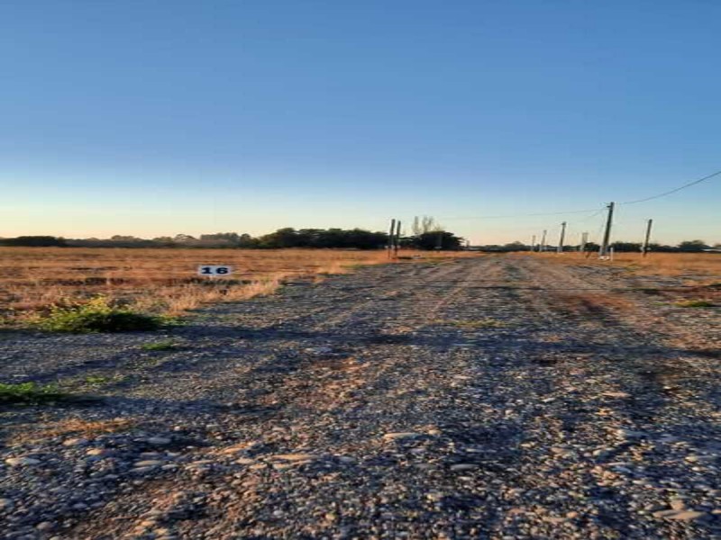 Se Venden Terrenos en San Clemente, Región del Maule.