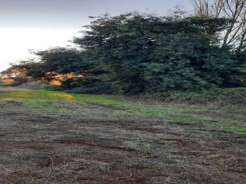 Se Venden Terrenos en San Clemente, Región del Maule.