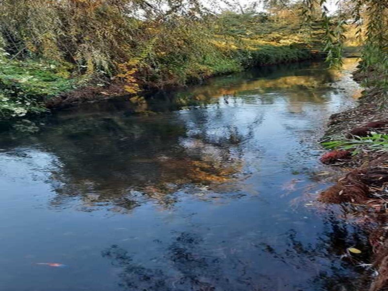 Se Venden Terrenos en San Clemente, Región del Maule.