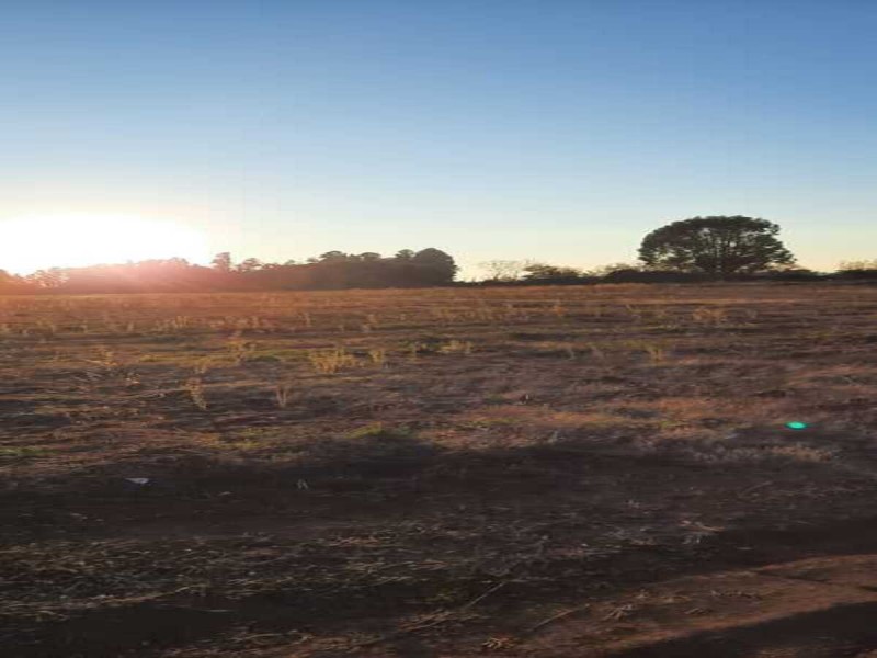 Se Venden Terrenos en San Clemente, Región del Maule.