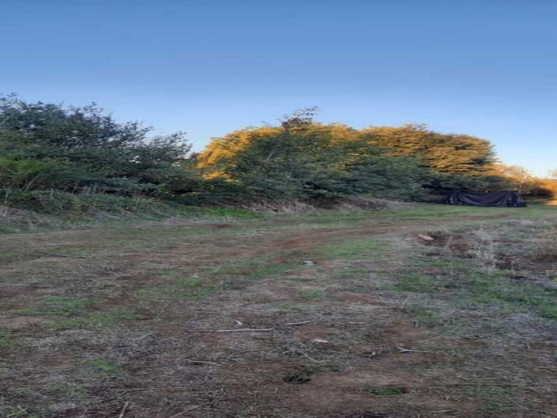 Se Venden Terrenos en San Clemente, Región del Maule.