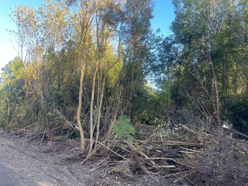 Se Vende Espectacular Terreno Cerca de Ensenada.