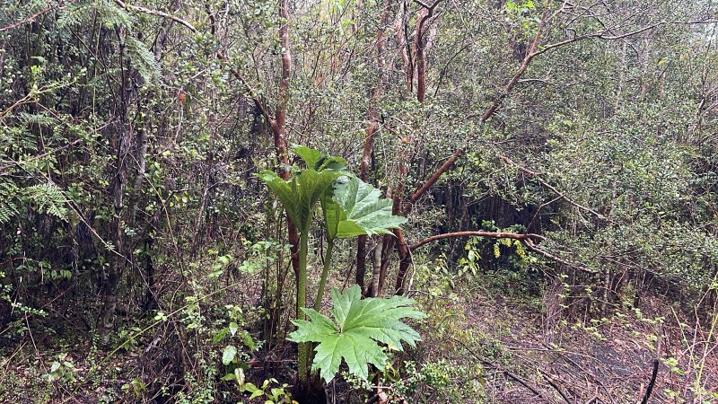 Se Vende Espectacular Terreno Cerca de Ensenada.