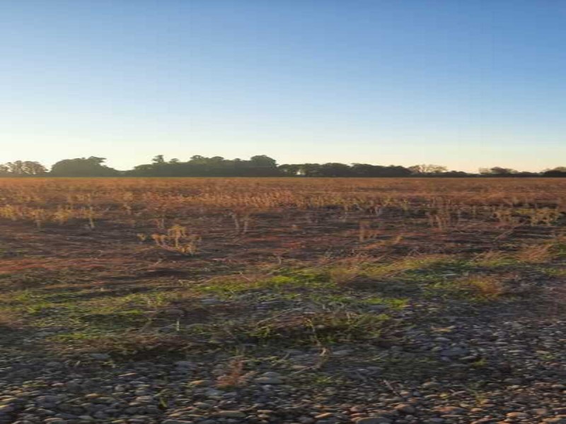 Se Venden Terrenos en San Clemente, Región del Maule.