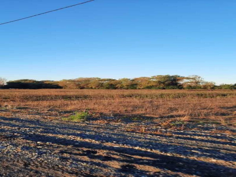 Se Venden Terrenos en San Clemente, Región del Maule.