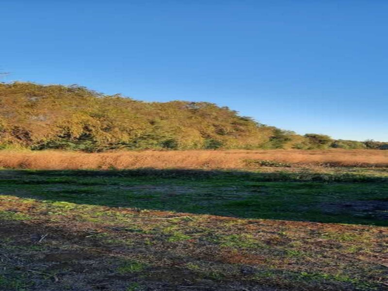 Se Venden Terrenos en San Clemente, Región del Maule.