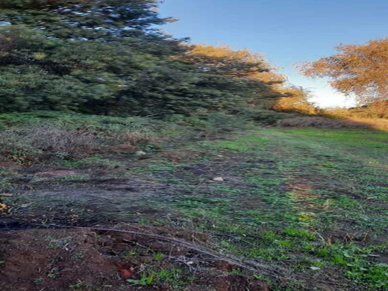 Se Venden Terrenos en San Clemente, Región del Maule.