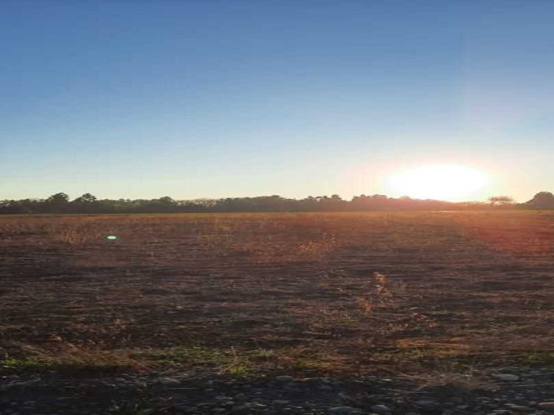 Se Venden Terrenos en San Clemente, Región del Maule.