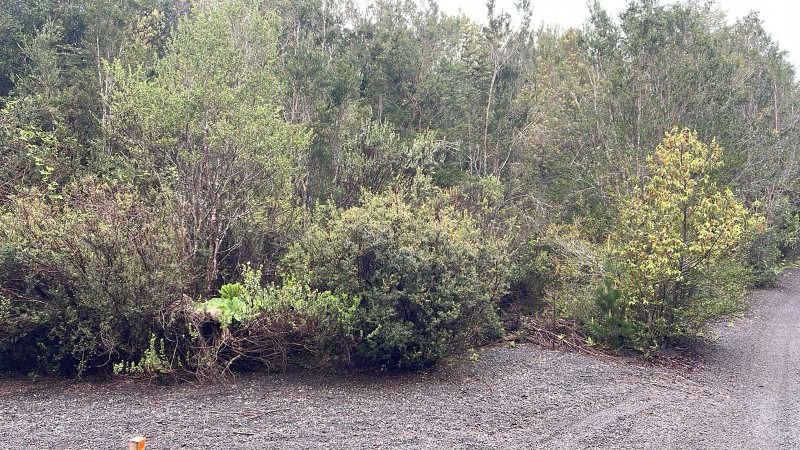 Se Vende Espectacular Terreno Cerca de Ensenada.