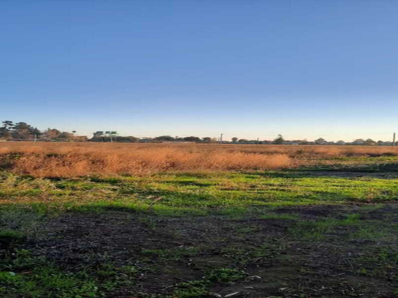 Se Venden Terrenos en San Clemente, Región del Maule.
