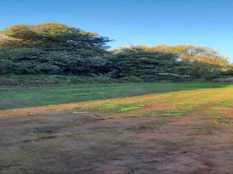 Se Venden Terrenos en San Clemente, Región del Maule.