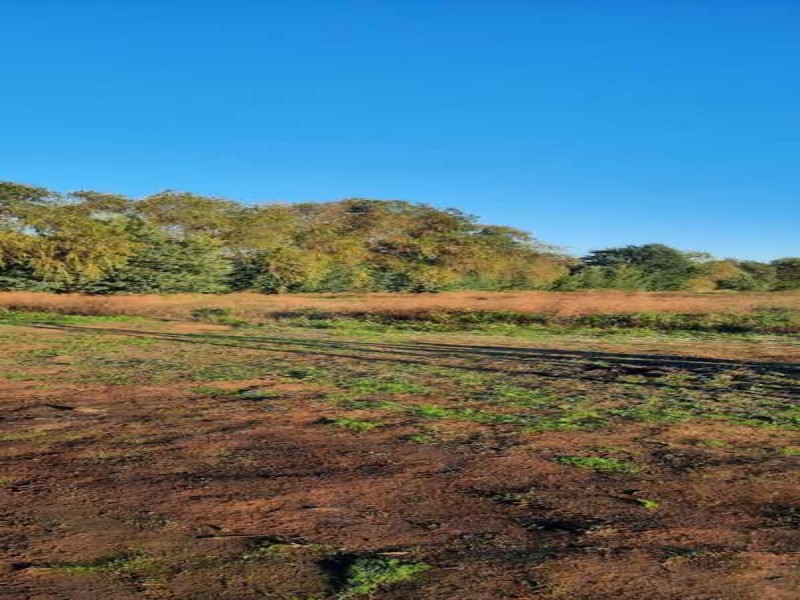 Se Venden Terrenos en San Clemente, Región del Maule.