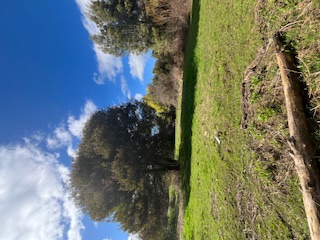 Gran Oportunidad Venta Parcela en Chillan