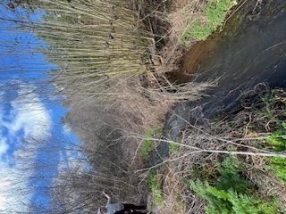 Gran Oportunidad Venta Parcela en Chillan