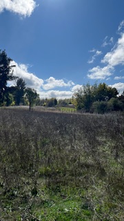 Gran Oportunidad Venta Parcela en Chillan