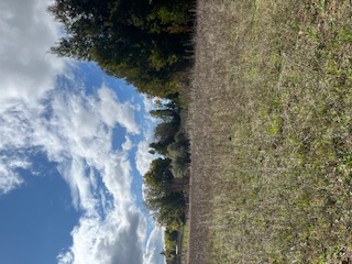 Gran Oportunidad Venta Parcela en Chillan