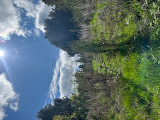 Gran Oportunidad Venta Parcela en Chillan