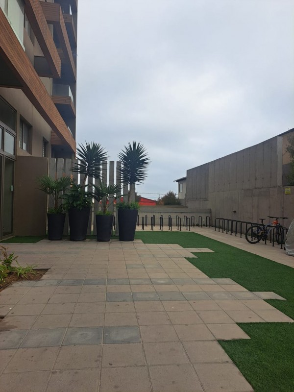 Arriendo Depto Centro de Coquimbo Año Corrido