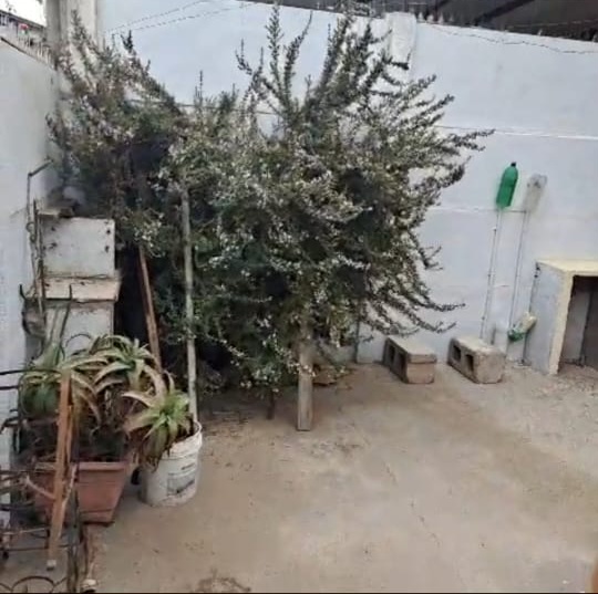 Vendo Casa Con Excelente Ubicación (Precio Conversable)