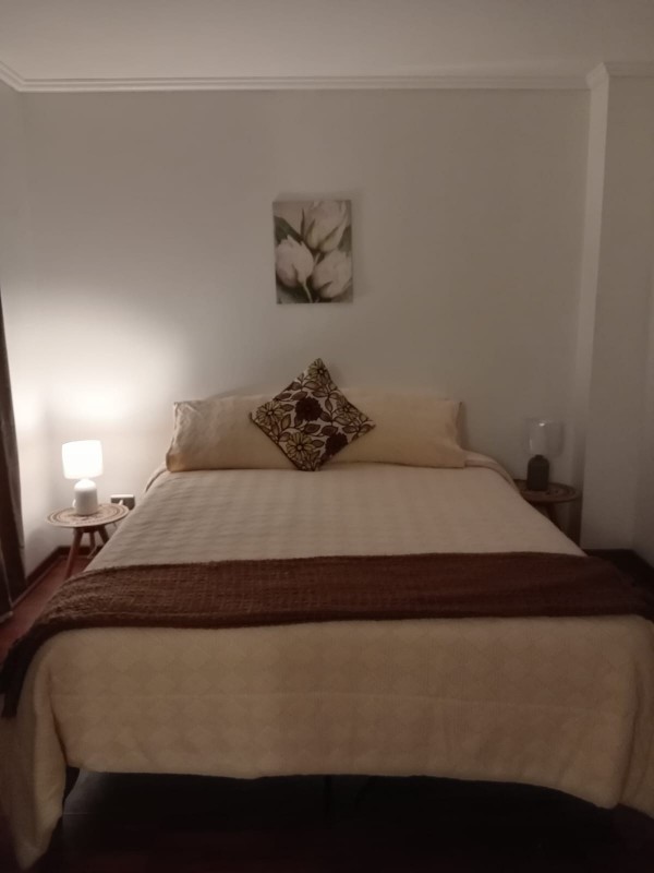 Acogedor Departamento Amoblado, Metro Irarrázaval
