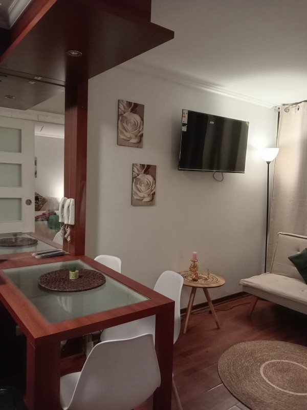 Acogedor Departamento Amoblado, Metro Irarrázaval