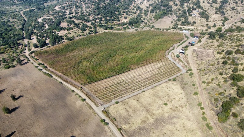 Fotografía de Venta de Campo Romeral, Sector Paso Ancho