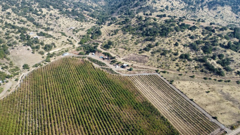 Venta de Campo Romeral, Sector Paso Ancho