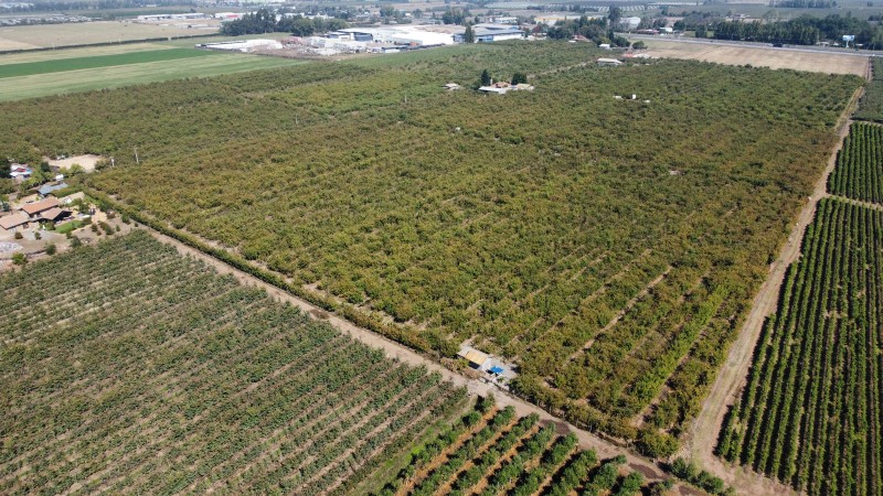 Venta de Campo Romeral, Sector Fundo la Ramada