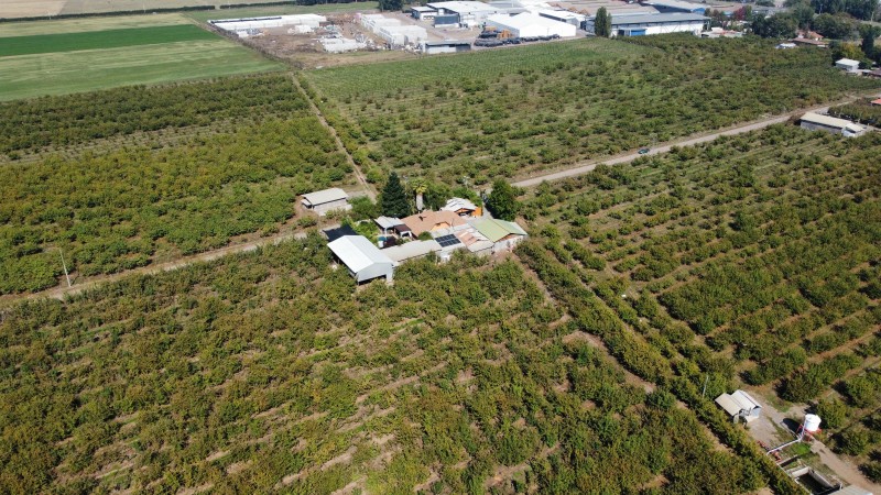 Venta de Campo Romeral, Sector Fundo la Ramada