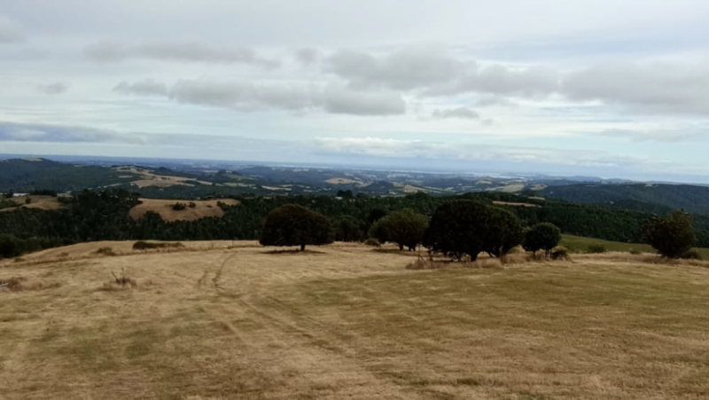 Vende Terreno los Muermos Puerto Montt