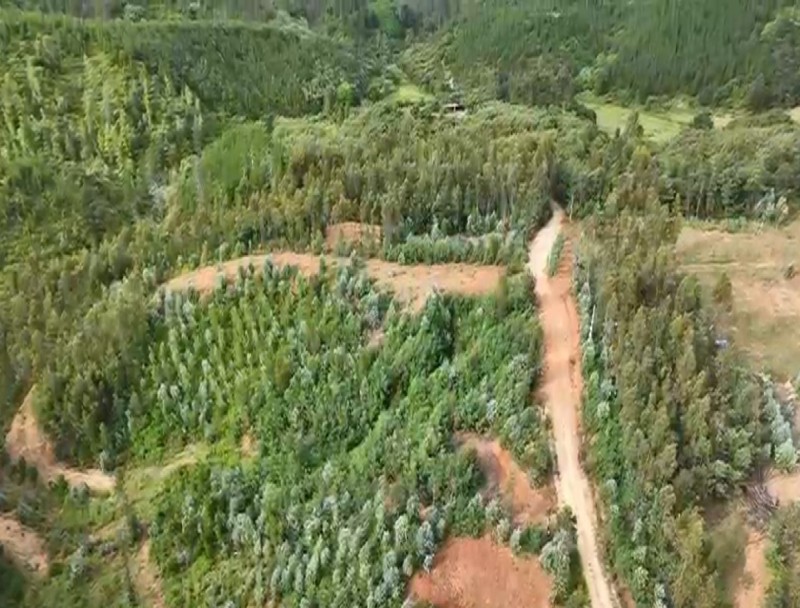 Solo A 15 Minutos del Centro de la Comuna, Con Fácil Acceso.