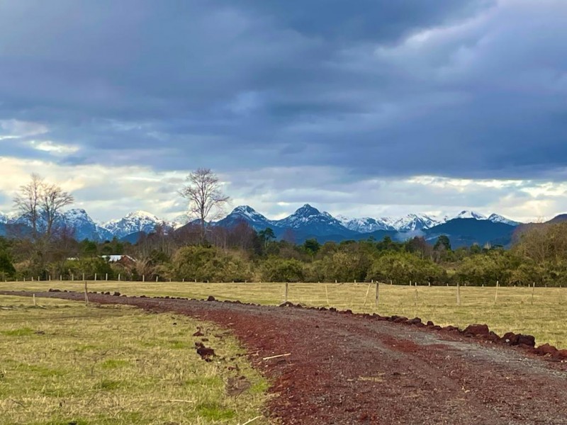 Riñinahue: Paraíso Familia para una Vida de Ensueño.