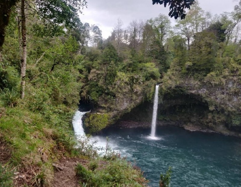 Riñinahue: Paraíso Familia para una Vida de Ensueño.
