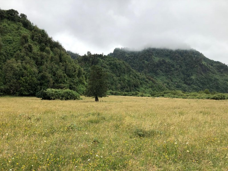 Riñinahue: Paraíso Familia para una Vida de Ensueño.