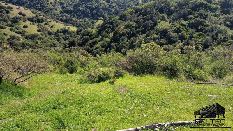 Parcela 10.000 M2 Comuna de Navidad.
